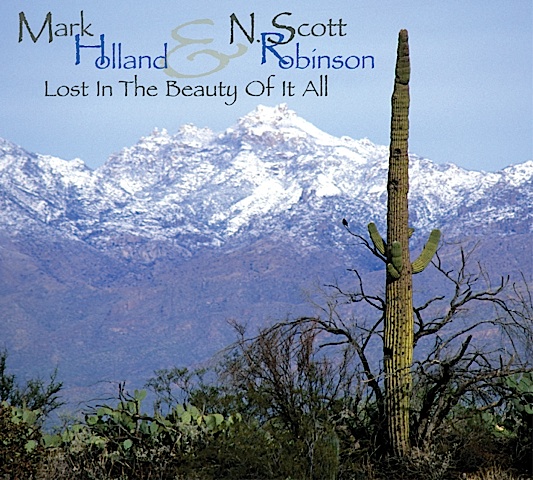 K.S. Resmi Discography - Lost In The Beauty Of It All